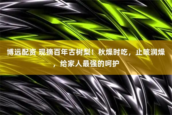 博远配资 现摘百年古树梨！秋燥时吃，止咳润燥，给家人最强的呵护