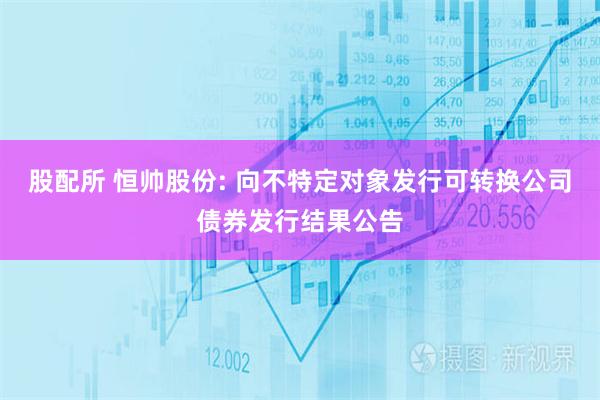 股配所 恒帅股份: 向不特定对象发行可转换公司债券发行结果公告